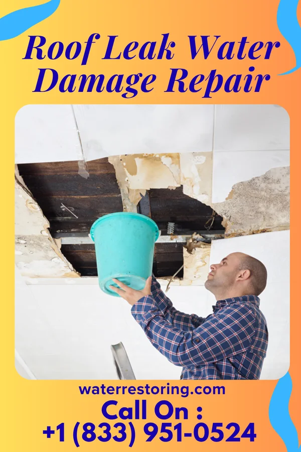 Roof Leak Water Damage Repair in Bennett, IA