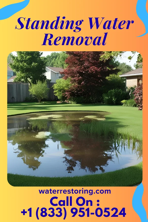 Standing Water Removal in Bennett, IA